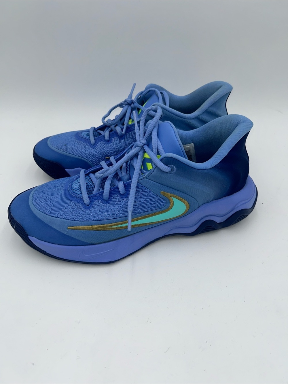 Nike Giannis Immortality 4 Turquoise Basketball Shoes / FQ3680 402 / Men's 9
